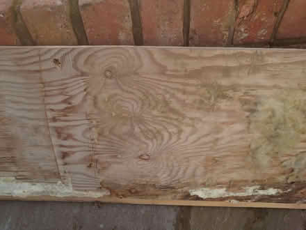 Photo of Shuttering Ply 12mm 22" x 43.5" Min (Southport PR9) #1
