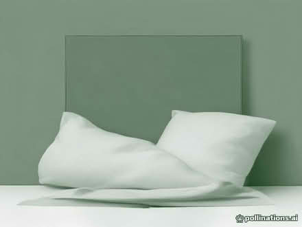 Photo of free Sheets and pillows (New Malden KT3) #1