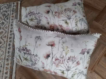 Photo of free Cushions (Eythorne CT15) #1