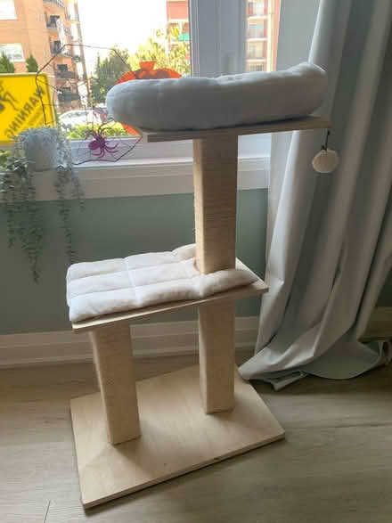 Photo of free Cat tree (St. Clair & Victoria Park) #1