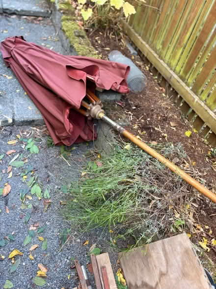 Photo of free Outdoor Umbrella (Ballard) #2