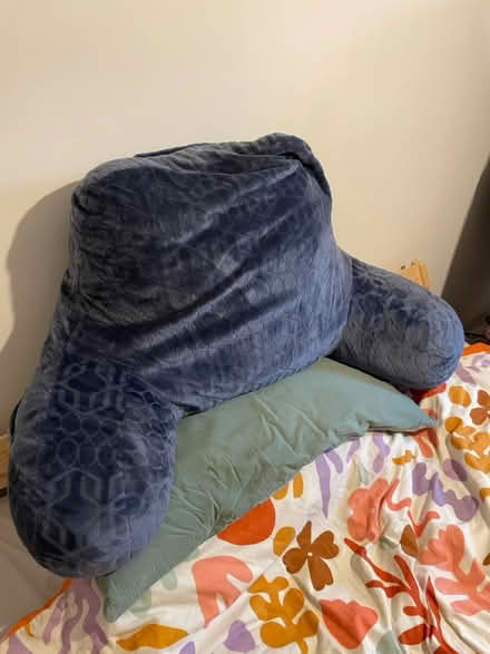 Photo of free Bed support cushion (colchester CO1) #2