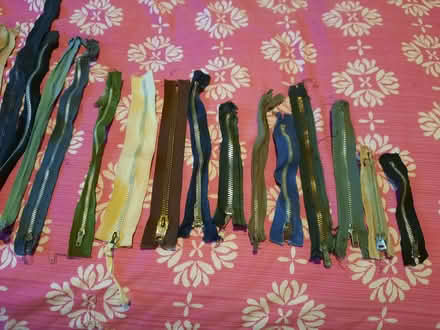 Photo of free Zips! (Hollingdean BN1) #2