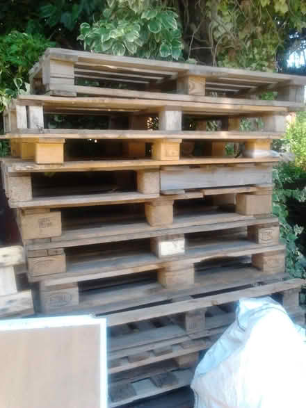 Photo of free Wooden Pallets (Staines-upon-Thames TW18) #3