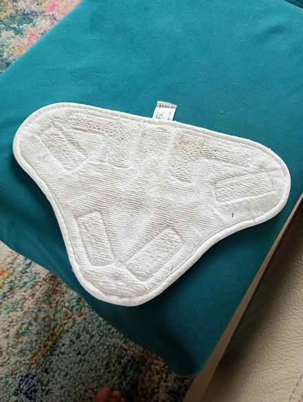 Photo of free Steam mop pad (Cowley Oxford OX4) #2
