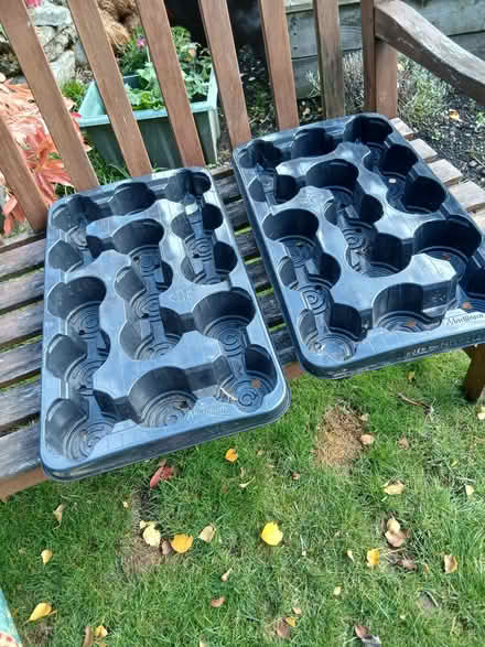 Photo of free Plantpot cells (Penrith CA11) #1