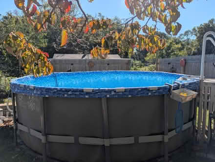 Photo of free pool and pump (Chestertown) #1