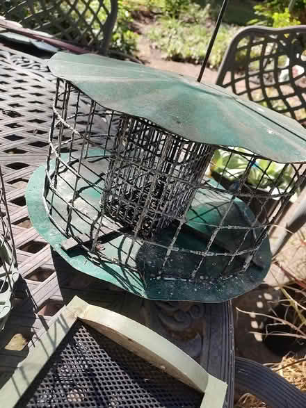 Photo of free 7 Bird feeders (Odenton) #4