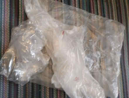 Photo of free Large plastic bags (West Marina TN38) #1