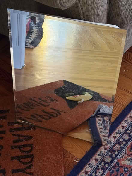 Photo of free Bathroom medicine cabinent & mirror (East Arlington) #2