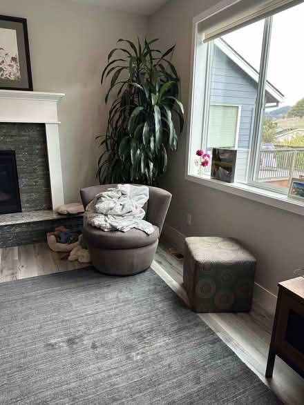 Photo of free Tall house plant (Newbeg) #2