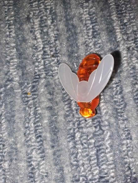 Photo of free Resin Bumble Bees (Arts & Crafts) (Harefield SO19) #2