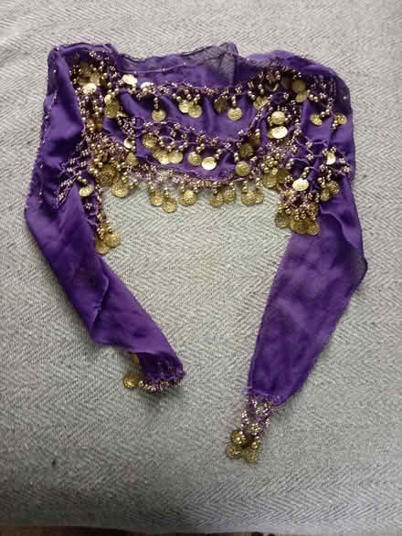 Photo of free Belly dancing hip wrap (Horsham, RH13 5) #1