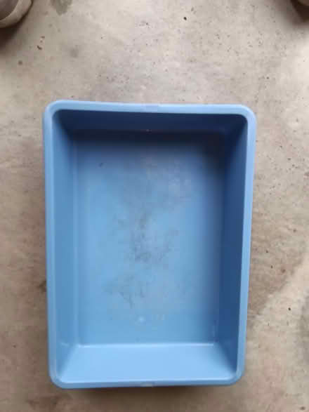 Photo of free Small Cat Litter Tray (Waterlooville PO8) #1