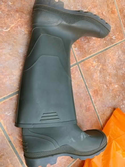 Photo of free Adult wellies (Littleover Derby DE23) #1