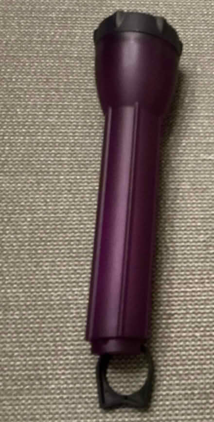 Photo of free Purple Flashlight (Terra Linda) #1