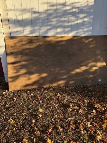 Photo of free Sheet Plywood (dunstable) #1