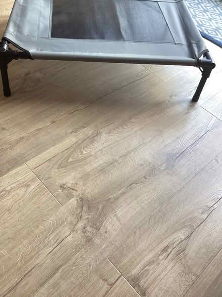 Photo of free Raised Dog Bed Frame (Connah's Quay CH5) #2