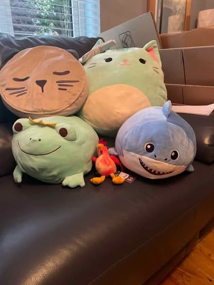 Photo of free Teddies (Baldock SG7) #1