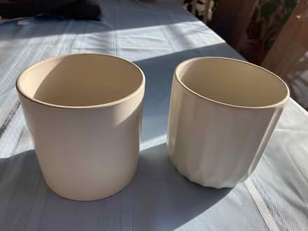 Photo of free Orchid Pots (Near Eubank Costco) #1