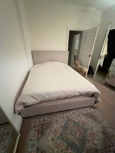 Photo of free Sofas,Beds, desk, console, table, chairs, lamp (Barnes SW13) #2