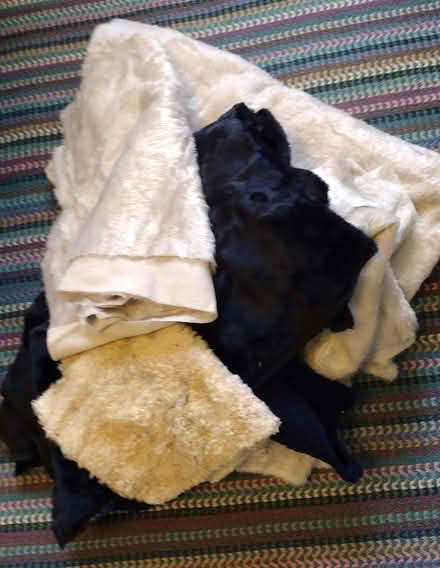 Photo of free Fur fabric (West Marina TN38) #1