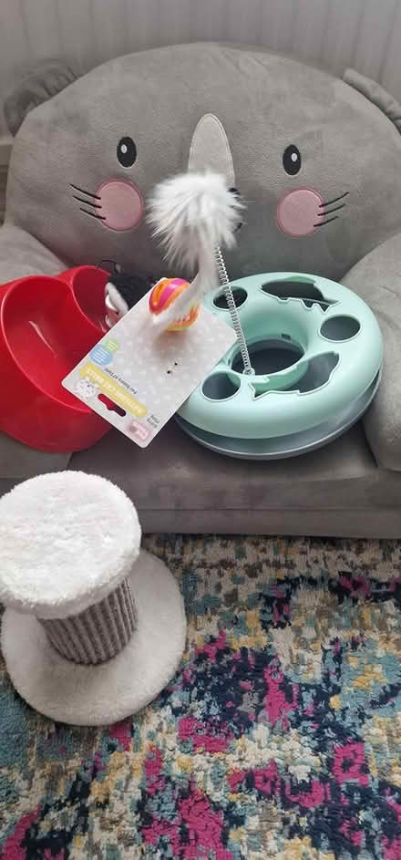 Photo of free Cat stuff (Royston SG8) #1