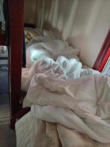 Photo of free 9x quilts, various sizes (Carlisle CA2) #1