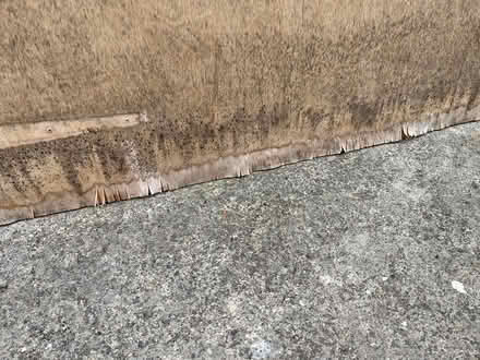 Photo of free 2x large 12mm plywood panels (Oxford, OX4) #4