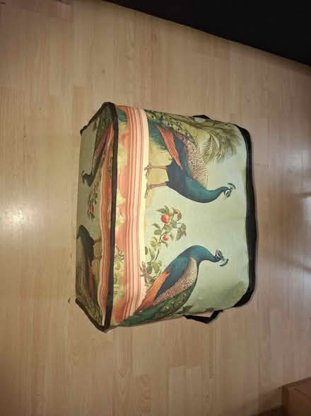 Photo of free Peacock storage bag (Feltham TW14) #2