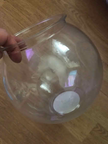 Photo of free Plastic container (Forest Hill SE23) #1