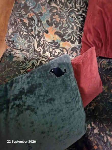 Photo of free 2 down filled sofas (Daventry, NN11) #4