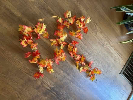 Photo of free Fall table decor (Queen Anne) #1