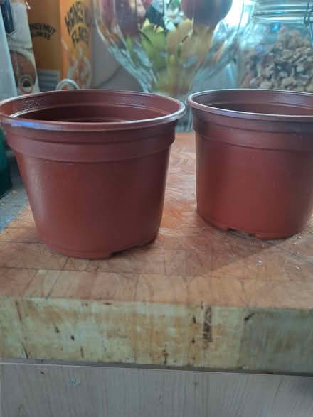 Photo of free Small plastic plant pots (Edinburgh, Canonmills EH7) #1