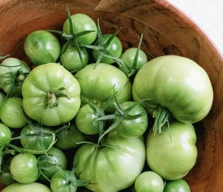 Photo of green tomatoes (Cookham SL6) #1