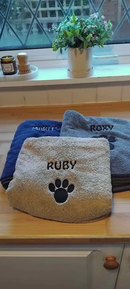 Photo of free 3 x New Microfibre Doggy Towels (Bryn WN4) #1