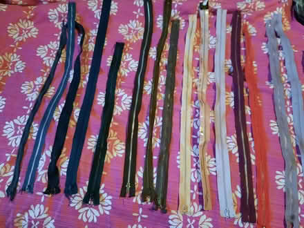 Photo of free Zips! (Hollingdean BN1) #3