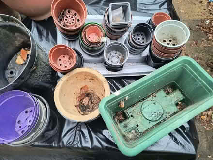 Photo of free Loads of plant pots (Crowthorne RG45) #1