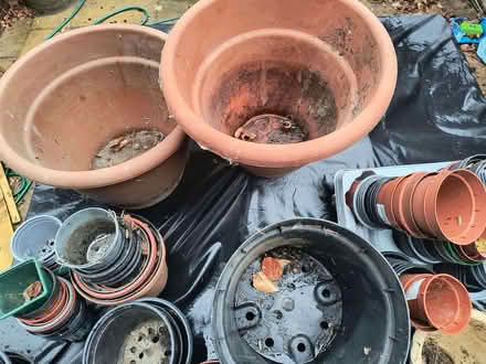 Photo of free Loads of plant pots (Crowthorne RG45) #2