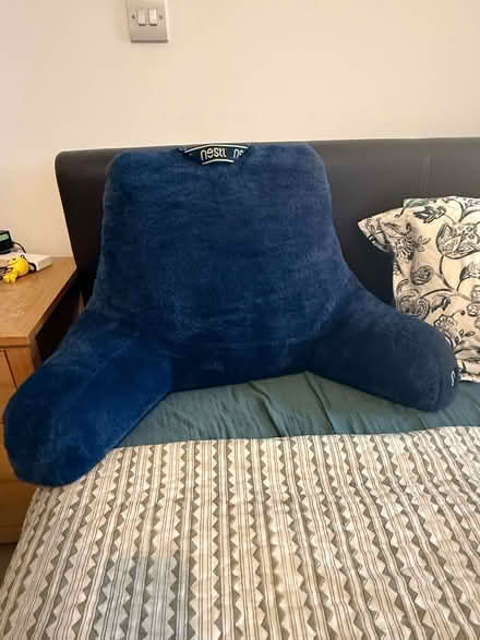 Photo of free Nestle Reading Pillow (Borough SE1) #1