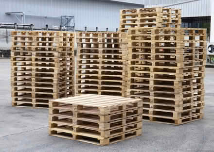 Photo of Pallets/wood to build raise beds (Seaside BN22) #1