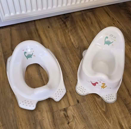 Photo of free Child's potty and toilet seat. (Bridge of Allan FK9) #1
