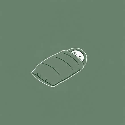 Photo of thick sleeping bags (Moor Allerton LS17) #1