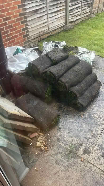 Photo of free Real grass turf (New Cross SE14) #1