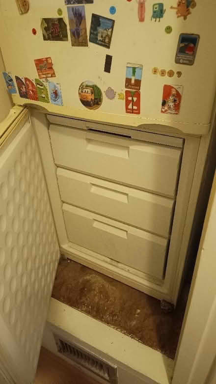 Photo of free Fridge and freezer big one (Cann Hall E11) #1