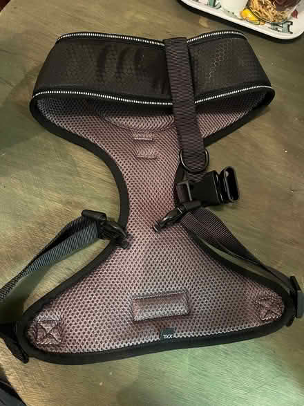 Photo of free Medium/Large Dog Harness (City Ave Philly area) #1