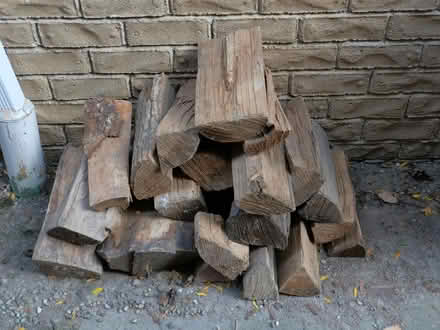 Photo of free Firewood (North West Scarborough) #1