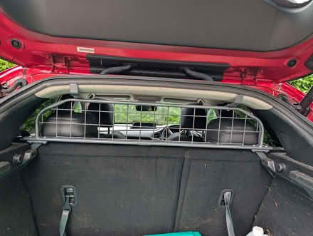 Photo of free Custom Dog Guard for Mazda CX 30 (Ryeish Green RG7) #1