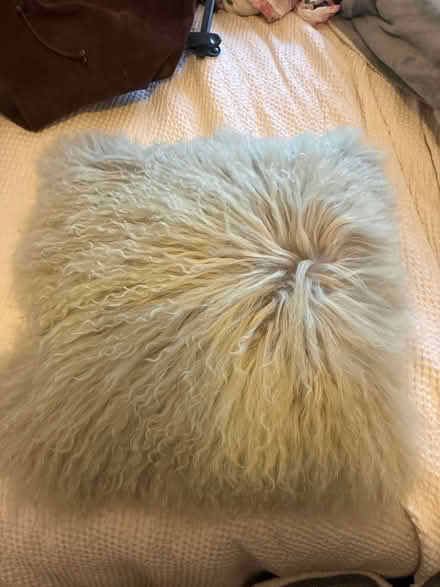 Photo of free Afghan cushion with velvet back (Hornsey N8) #1