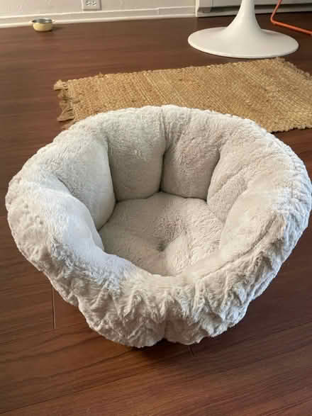 Photo of free small pet bed (san jose west) #1